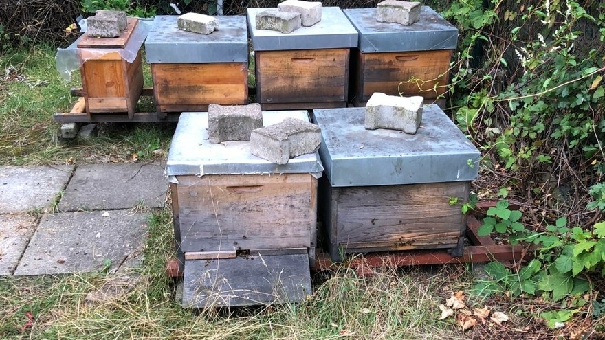 Bienenpatenschaft - Nathan Gardner - die Abholung unserer beiden Bienenvölker Bienenpatenschaft - Nathan Gardner - die Abholung unserer beiden Bienenvölker